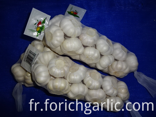 Good Quality Pure Garlic